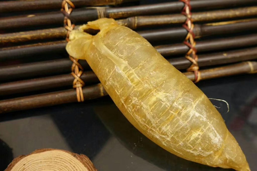 魚膠也分排名？讓我們看看世界五大頂級魚膠