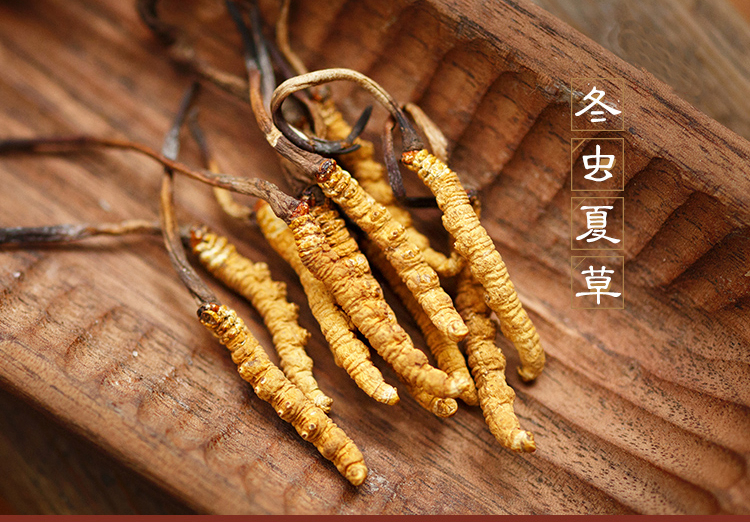 冬蟲夏草回收值多少錢？一般受哪些因素影響？