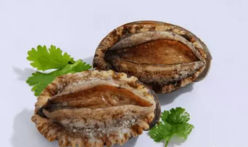 鮑魚品種大全，且還是世界頂級！