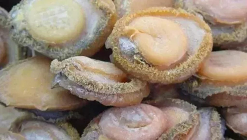鮑魚品種大全，且還是世界頂級！