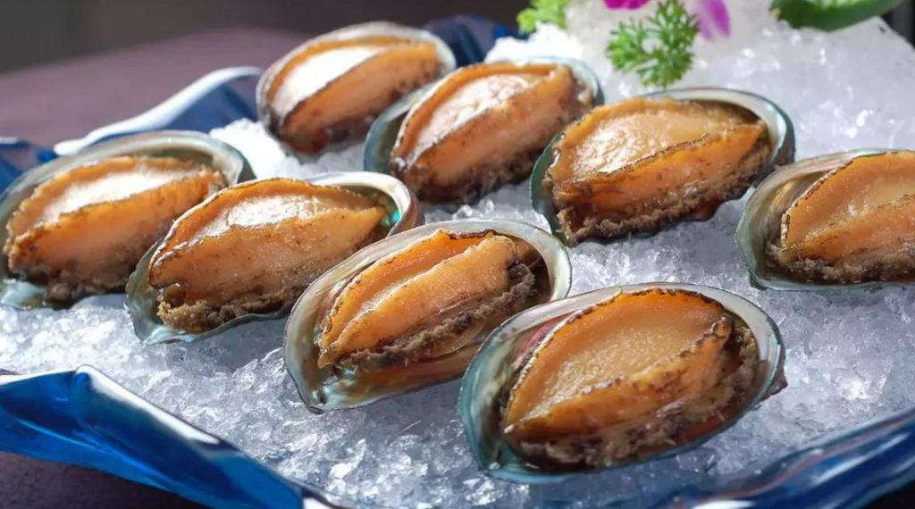 鮑魚品種大全，且還是世界頂級！