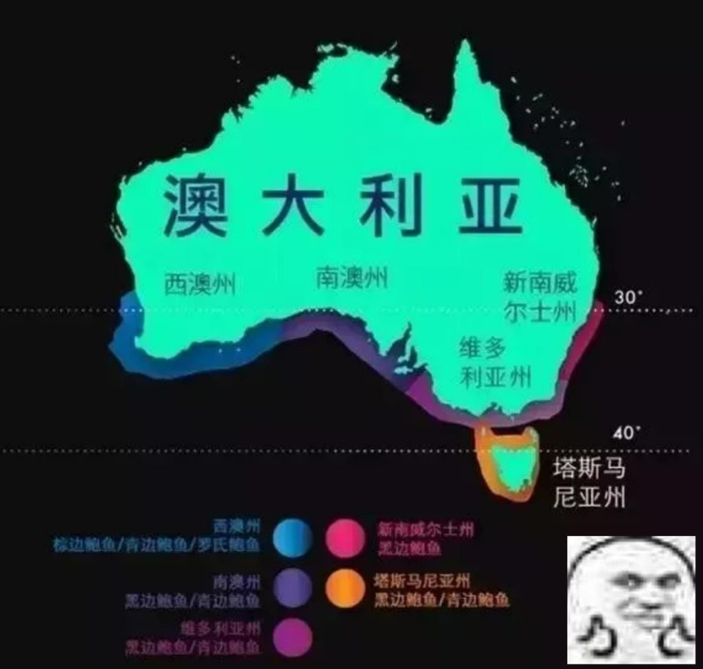 鮑魚品種大全，且還是世界頂級！