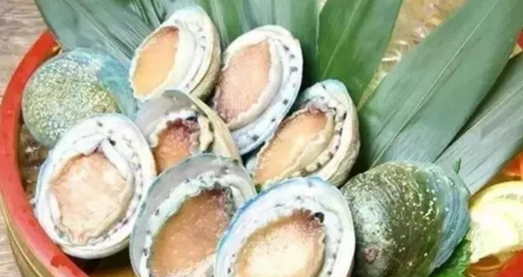 鮑魚品種大全，且還是世界頂級！