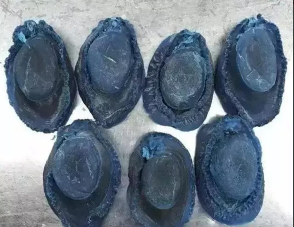 鮑魚品種大全，且還是世界頂級！