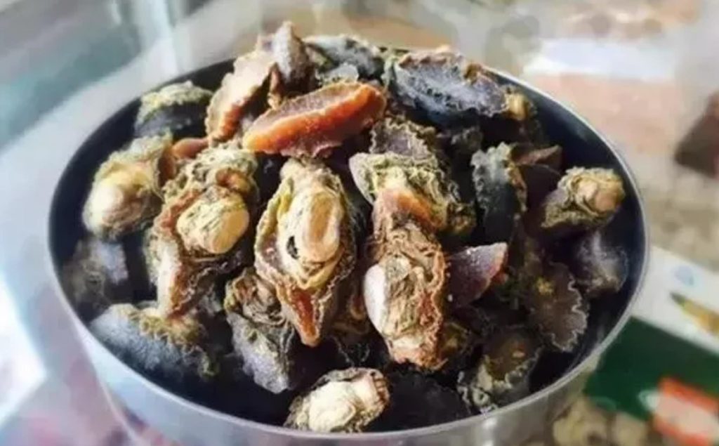 鮑魚品種大全，且還是世界頂級！